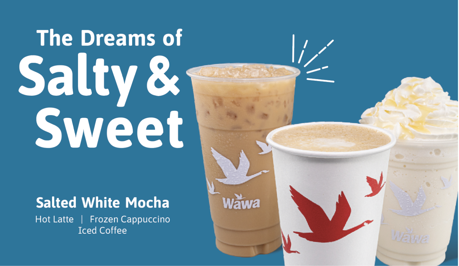 Wawa — OLIVIA